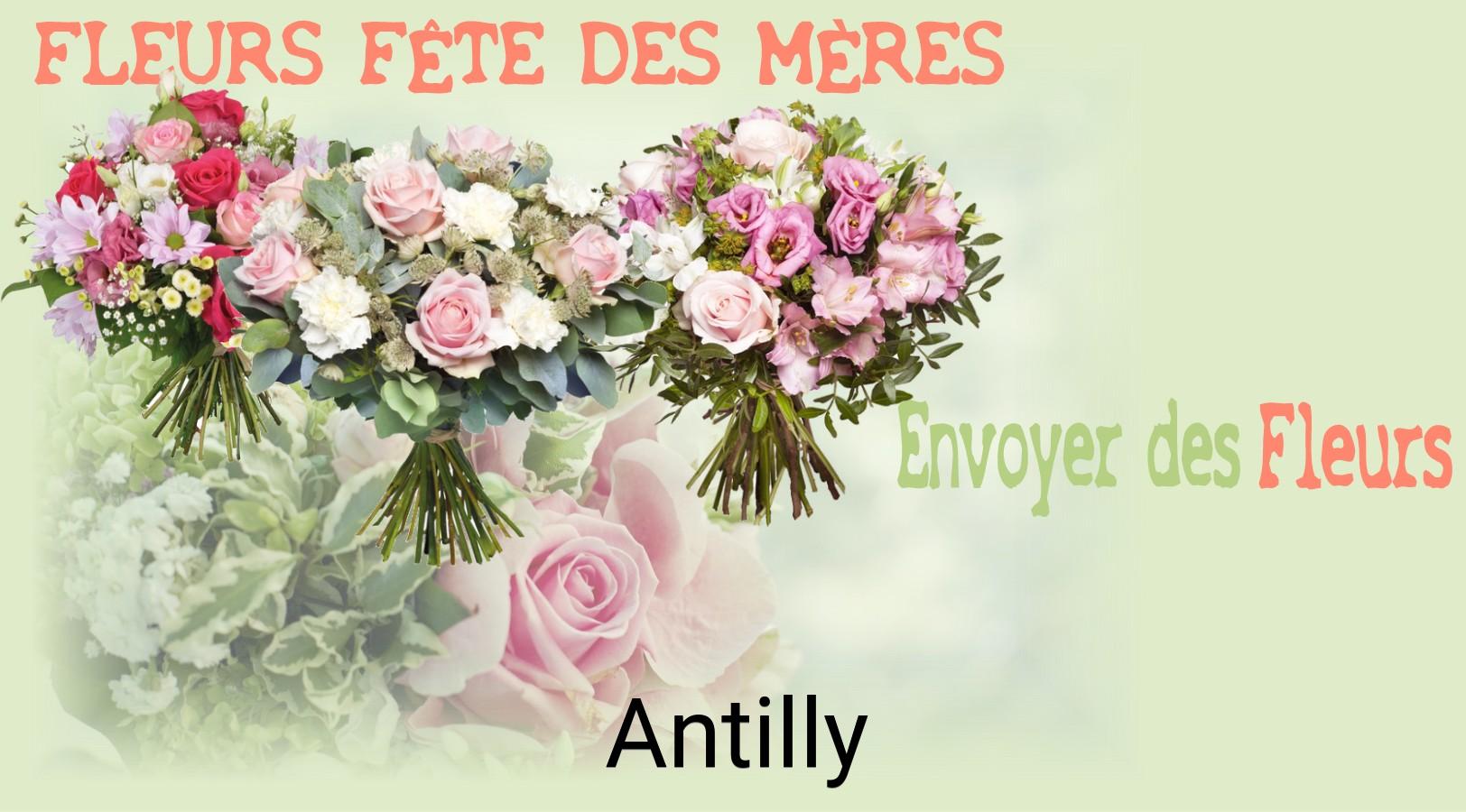 Bouquet de Fête des Mères livré à Antilly